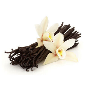 French Vanilla