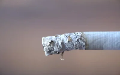 Are There Different Types of Cigarette Tubes Available for Smokers?