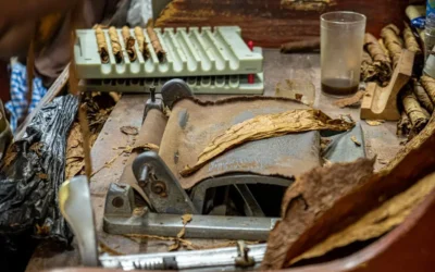 12 Unique Rolling Machine Designs You Need to See
