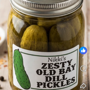Nikki's SPICY KOSHER DILL 16oz