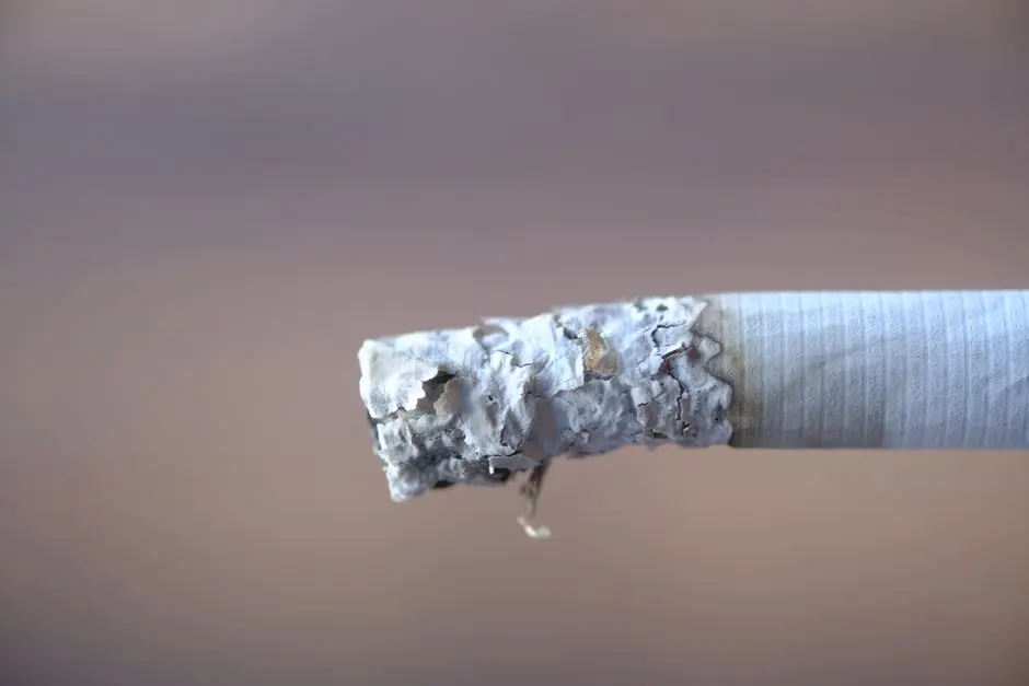 Empty cigarette tubes used for hand-rolling tobacco